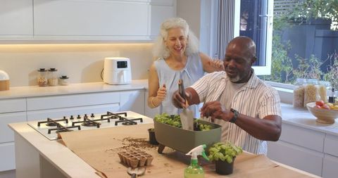 Senior Couple Gardening Fresh Herbs Indoors in Kitchen