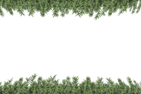 This digital illustration features a transparent background framed with lush green branches. Ideal for creating nature-inspired designs, invitations, or as an overlay on websites focused on eco-friendly brands. Its natural and versatile appearance enhances any project needing a touch of greenery.