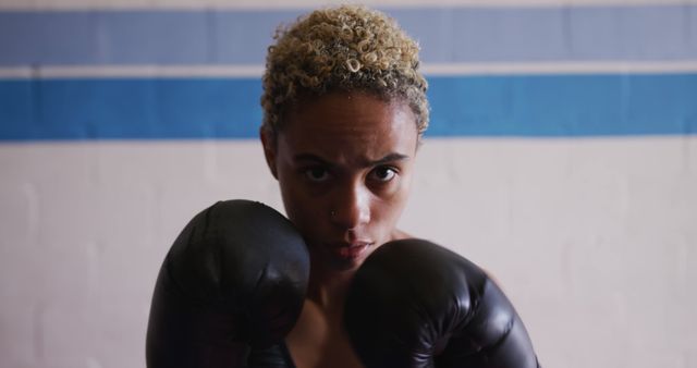 Focused Female Boxer in Training Stance Looking Determined - Download Free Stock Images Pikwizard.com