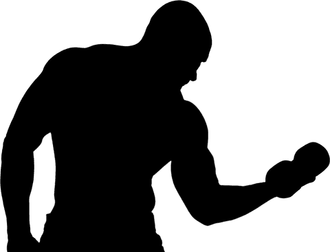 silhouette of sportsman with barbell on transparent background - Download Free Stock Videos Pikwizard.com