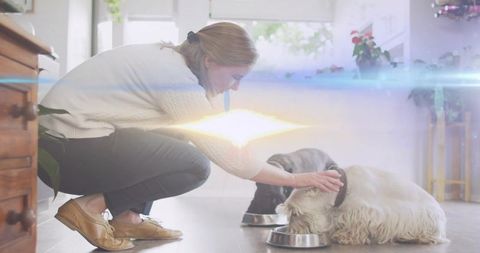 Crouching middle-aged woman petting and feeding two dogs in bright kitchen with sunlight
