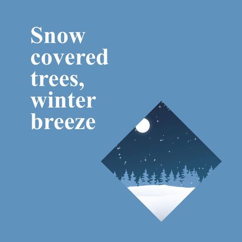 Winter Forest Scene with Snow and Night Sky - Download Free Stock Templates Pikwizard.com