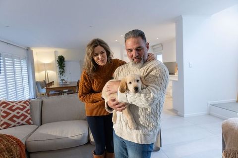 Couple welcoming golden retriever puppy into cozy room, man holding puppy, woman smiling