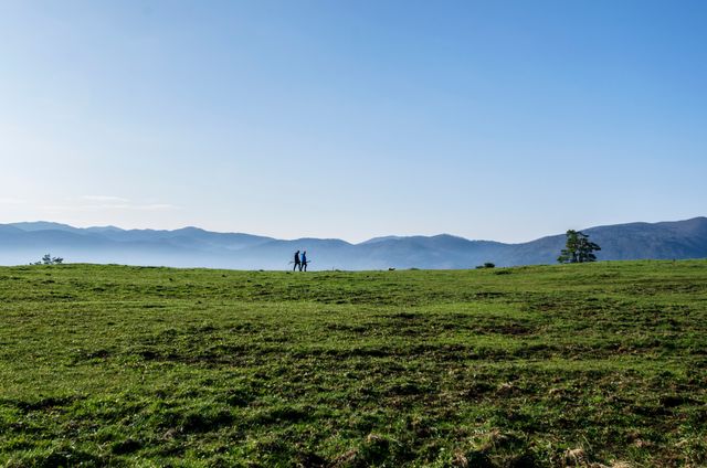 Couple hiking together across expansive green meadow with a backdrop of distant mountains under a clear blue sky. Ideal for websites or publications promoting outdoor activities, travel destinations, and adventurous lifestyles. Suitable for advertisements emphasizing tranquility, nature, and scenic beauty.