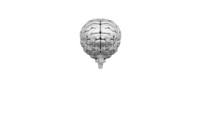 Digital brain model isolated on transparent background, modern science illustration - Download Free Stock Videos Pikwizard.com