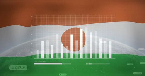 Digital analytics dashboard on niger flag background
