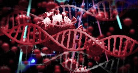 DNA and Virus Concept with Digital Interface Background