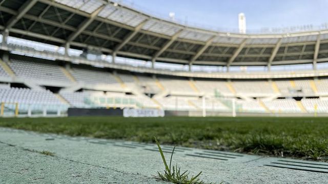 Single grass tuft growing at stadium edge emphasizing resilience and nature vs sport