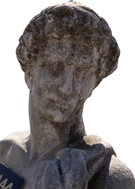 Ancient Weathered Classical Style Bust Sculpture on Transparent Background - Download Free Stock Videos Pikwizard.com