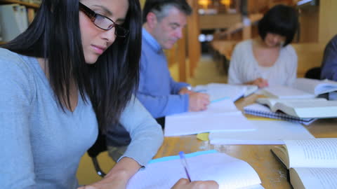 Diverse Group of Adults Studying in Library Setting