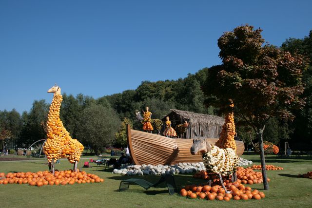 The image depicts a creative pumpkin display in an outdoor park featuring giraffe sculptures crafted from pumpkins. A large wooden boat is in the center with pumpkin figures aboard. Surrounding the display, there is a backdrop of green trees under a clear blue sky. This image can be used for seasonal marketing campaigns, Fall festival promotions, or articles about creative outdoor displays and public art installations.