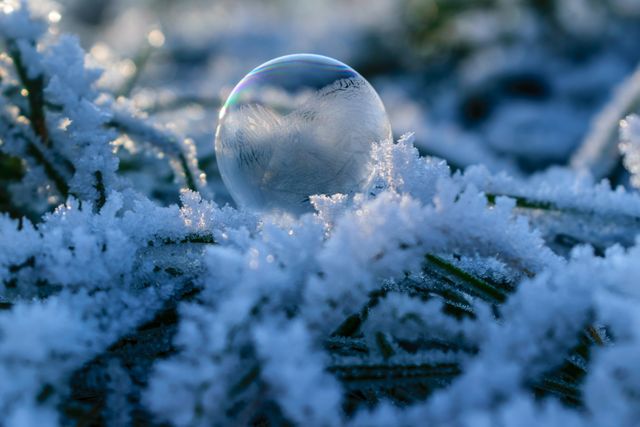 Glass ball resting on snow-covered ground, capturing the essence of the winter season. Ideal for illustrating concepts of winter weather, cold climates, or holiday season imagery. It can be used in advertisements, seasonal marketing materials, or holiday greeting cards.