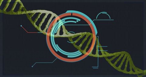 Futuristic DNA Structure with Digital Interface Overlay - Download Free Stock Images Pikwizard.com
