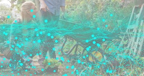 Couple gardening backyard planting seedlings near yellow wheelbarrow with turquoise overlay