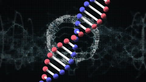 3D Brain Rotation Over DNA Strand with Digital Background