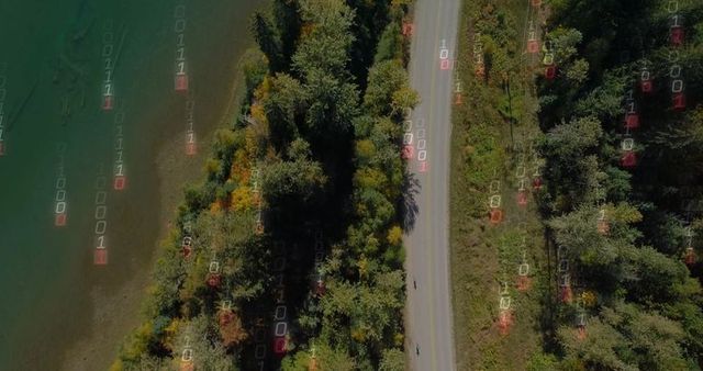 Aerial view of serene road through vibrant forest with digital overlay