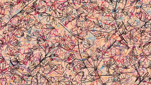 Vibrant Abstract Floral Line Art on Peach Background