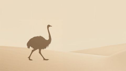Silhouette of Ostrich in Serene Desert Landscape