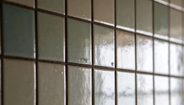 Glazed ceramic square tiles reflecting window light showing grout lines and water droplets