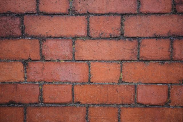 This detailed close-up of a modern red brick wall can be used for various design and architectural projects. Ideal for backgrounds, textures, and presentations needing a solid and durable appearance. Perfect for construction-themed marketing materials or educational resources.