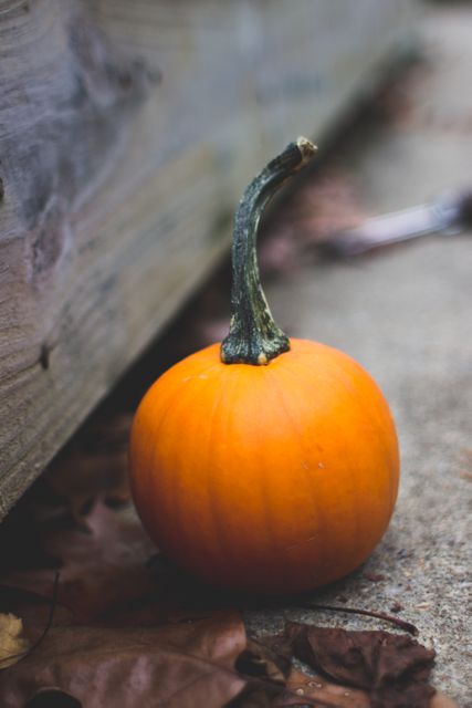 Image shows single, ripe pumpkin with long stem placed outdoors, next to wooden structure and dry leaves on ground. Ideal for use in seasonal promotions, harvest themes, autumnal backgrounds, festive decorations, blog posts about pumpkins, organic farming, and Halloween. Highlights the natural beauty of autumn.