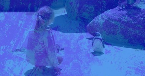 Child Observing Curious Penguin at Biodiverse Zoo Exhibit