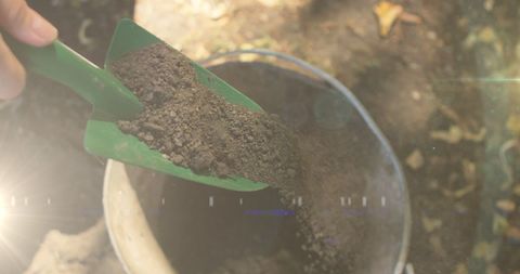 Gardening with Focus and Light Effects - Download Free Stock Images Pikwizard.com