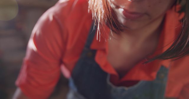 Woman Working Intently in Warm Light - Download Free Stock Images Pikwizard.com