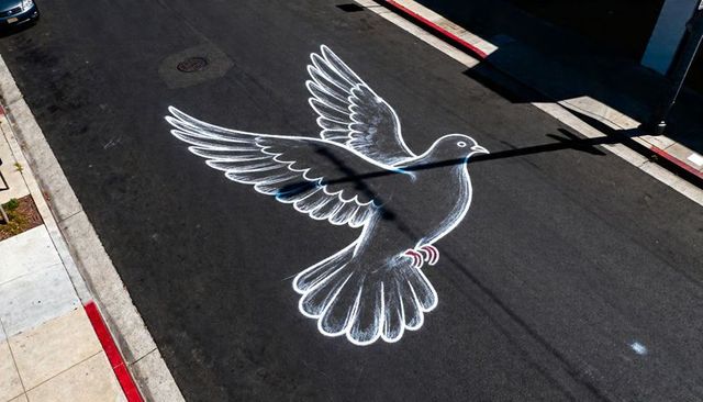 Giant white dove chalk mural soaring over urban asphalt street with red curb and shadows