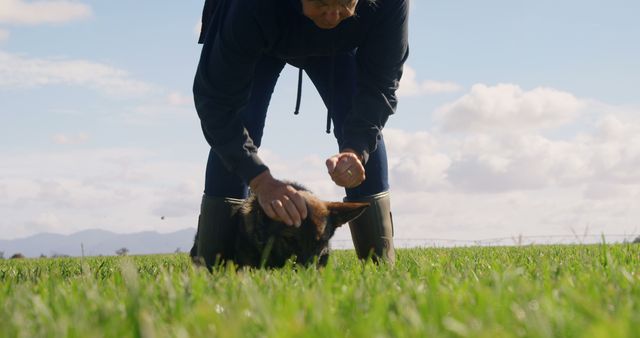 Farmer Cuddling Cat in Green Field During Sunny Day - Download Free Stock Images Pikwizard.com