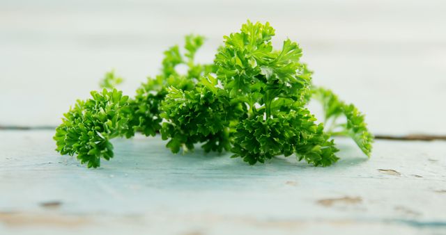 Fresh green curly parsley on a light wooden background. Perfect for use in recipes, kitchen decor articles, healthy living blogs, or culinary tutorial videos. Great for showcasing natural and organic food ingredients.