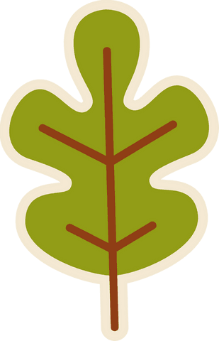 Flat green oak leaf illustration on transparent background