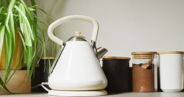 Sleek white electric kettle sits on a clean kitchen countertop next to jars and a green plant, representing a minimalist modern kitchen setup. Perfect for use in articles or blogs about kitchen organization, modern decor, or coffee and tea preparation tips.