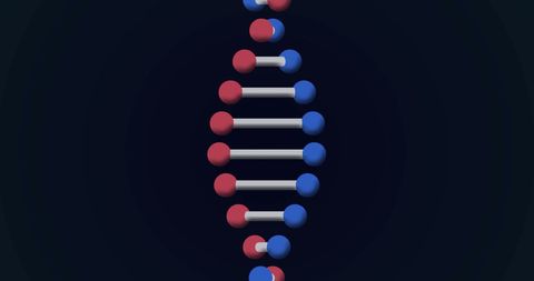 3d dna strand with network digital design