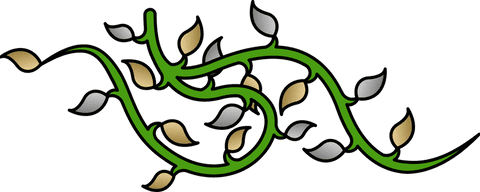 Elegant Green Vine Unfurling with Gold and Silver Leaves on Transparent Background - Download Free Stock Videos Pikwizard.com