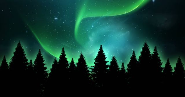 Stunning display of the northern lights casting bright green hues over silhouetted pine trees during a clear night. Ideal for use in nature blogs, travel websites, posters, wallpapers, and educational content about natural phenomena.