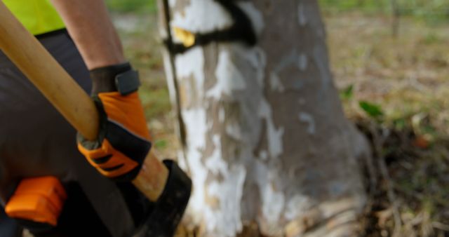 Forestry Worker Chopping Tree in Protective Gear - Download Free Stock Images Pikwizard.com