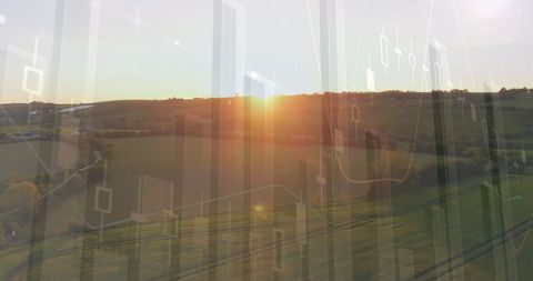 Financial Growth Concept on Agricultural Fields at Sunset