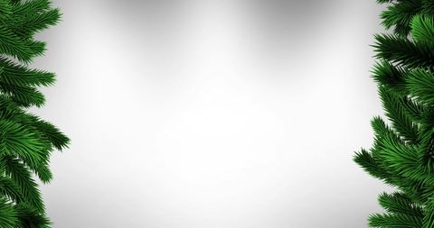 Green Pine Branches with Copy Space on Grey Background