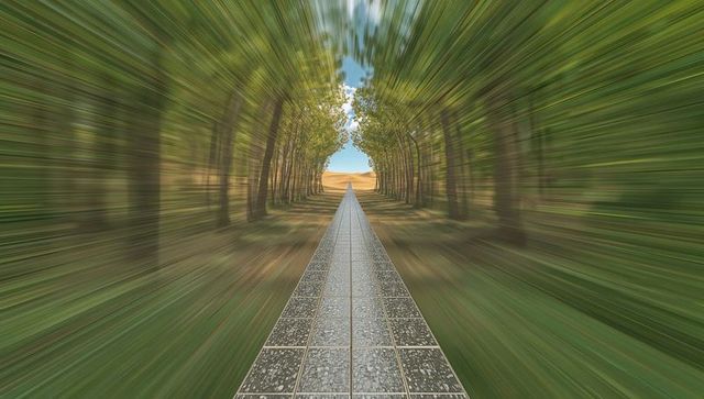 Tiled Path Stretching Through Motion-Blurred Tree Tunnel Toward Golden Field