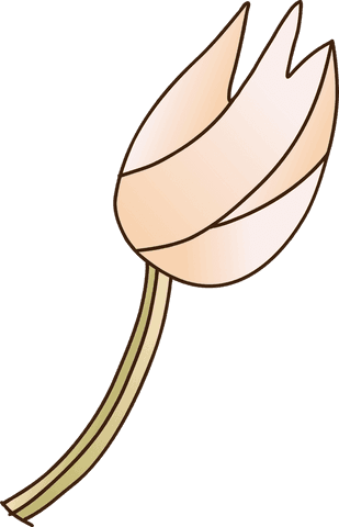 Stylized Flower Bud Illustration on Transparent Background