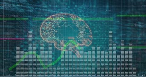 Digital Brain Circuit with Data Visualization and Analysis Elements