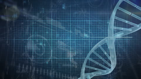 Digital DNA Strand with Data Processing Interface