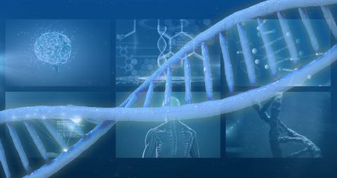 DNA Strands and Scientific Diagrams Representing Genetics - Download Free Stock Images Pikwizard.com