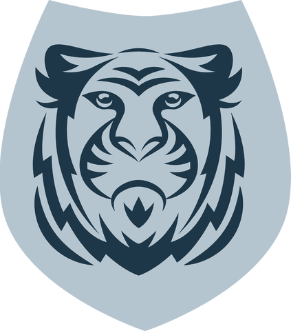 stylized vector tiger face on transparent background - Download Free Stock Videos Pikwizard.com