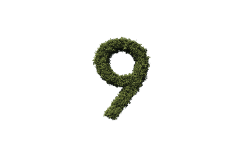 transparent illustration of leaf-covered number nine - Download Free Stock Videos Pikwizard.com