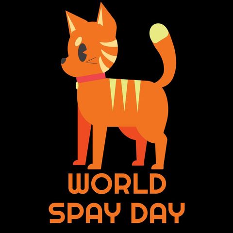 World spay day with orange cat graphic