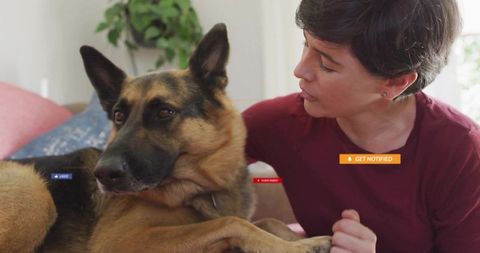 Woman Bonding with Relaxed German Shepherd on Cozy Home Sofa