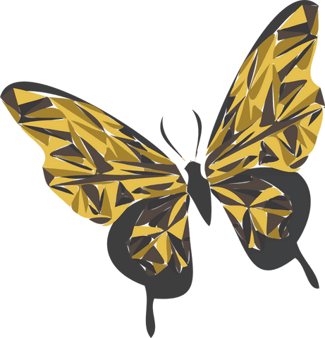 geometric mosaic butterfly illustration on transparent canvas - Download Free Stock Videos Pikwizard.com