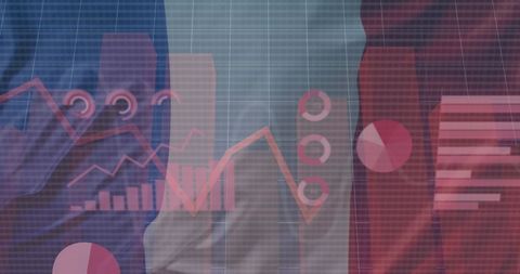 Dynamic Data Analysis Overlay on French Flag